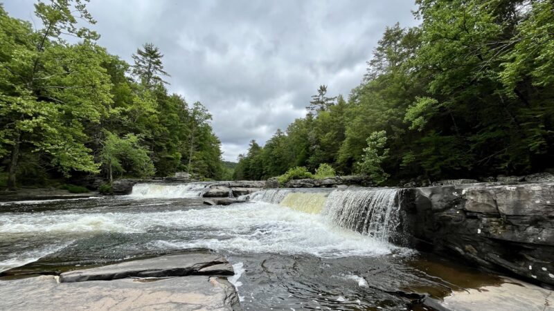 Neversink River Unique Area - Cuddebackville, NY