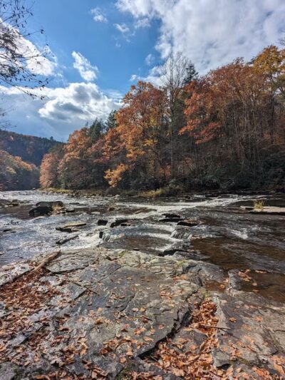 Neversink River Unique Area - Cuddebackville, NY