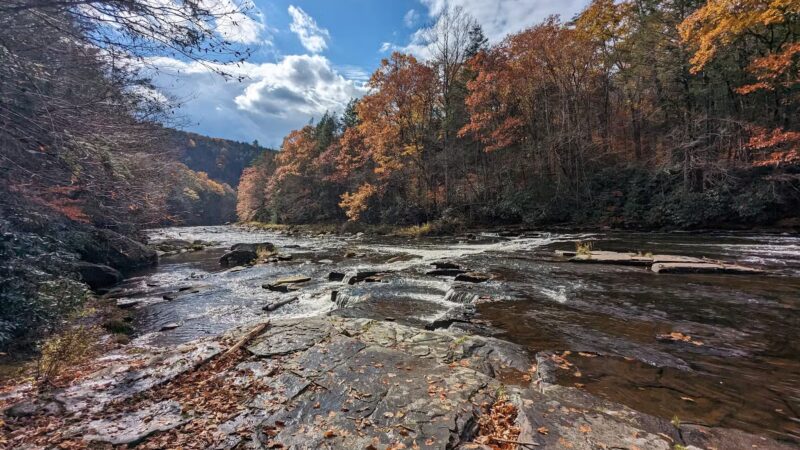 Neversink River Unique Area - Cuddebackville, NY