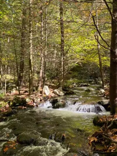 Neversink River Unique Area - Cuddebackville, NY