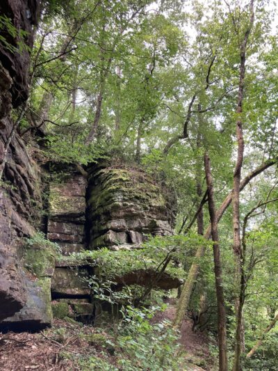 Duck River West Trail and Boat Ramp - Cullman, AL