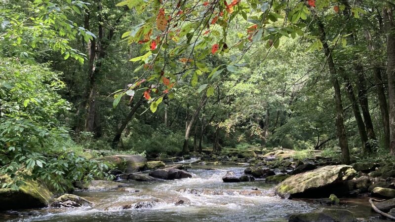 Duck River West Trail and Boat Ramp - Cullman, AL