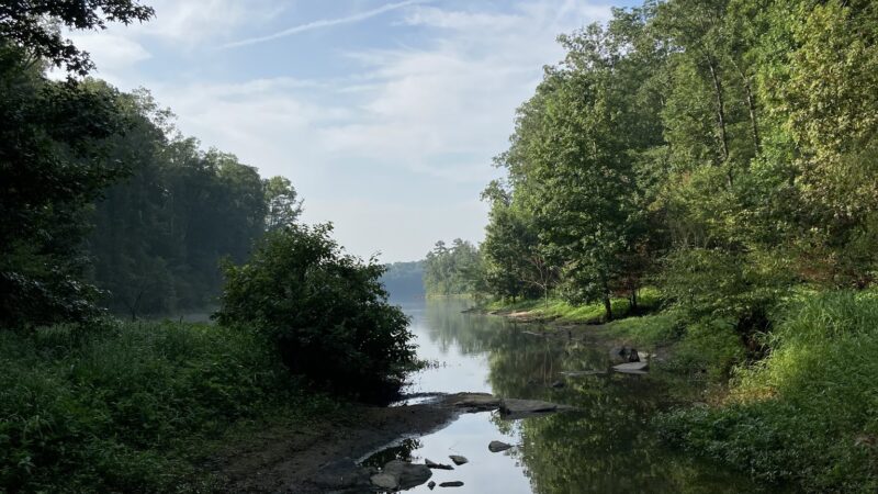 Duck River West Trail and Boat Ramp - Cullman, AL