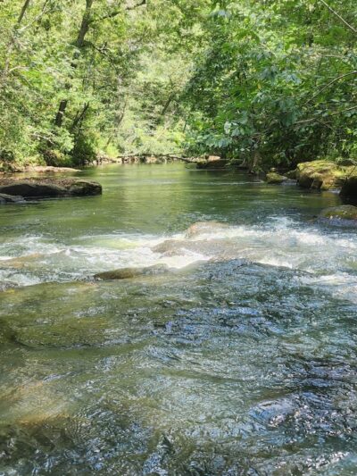 Duck River West Trail and Boat Ramp - Cullman, AL