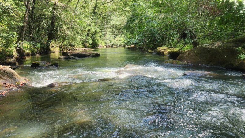 Duck River West Trail and Boat Ramp - Cullman, AL