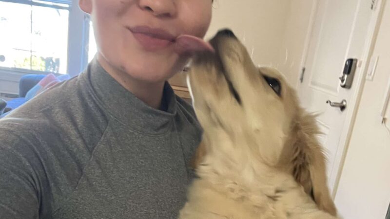 Curls and Paws LLC- NJ & NYC Pet Sitting & Dog Walking services - ,