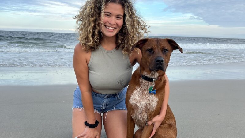 Curls and Paws LLC- NJ & NYC Pet Sitting & Dog Walking services - ,