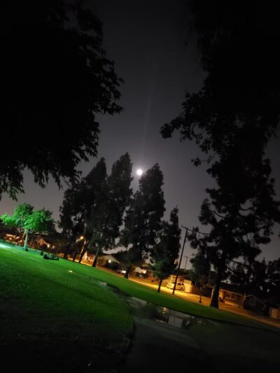 Rosen Acacia Park - Cypress, CA