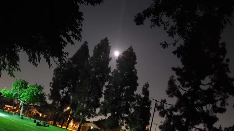 Rosen Acacia Park - Cypress, CA