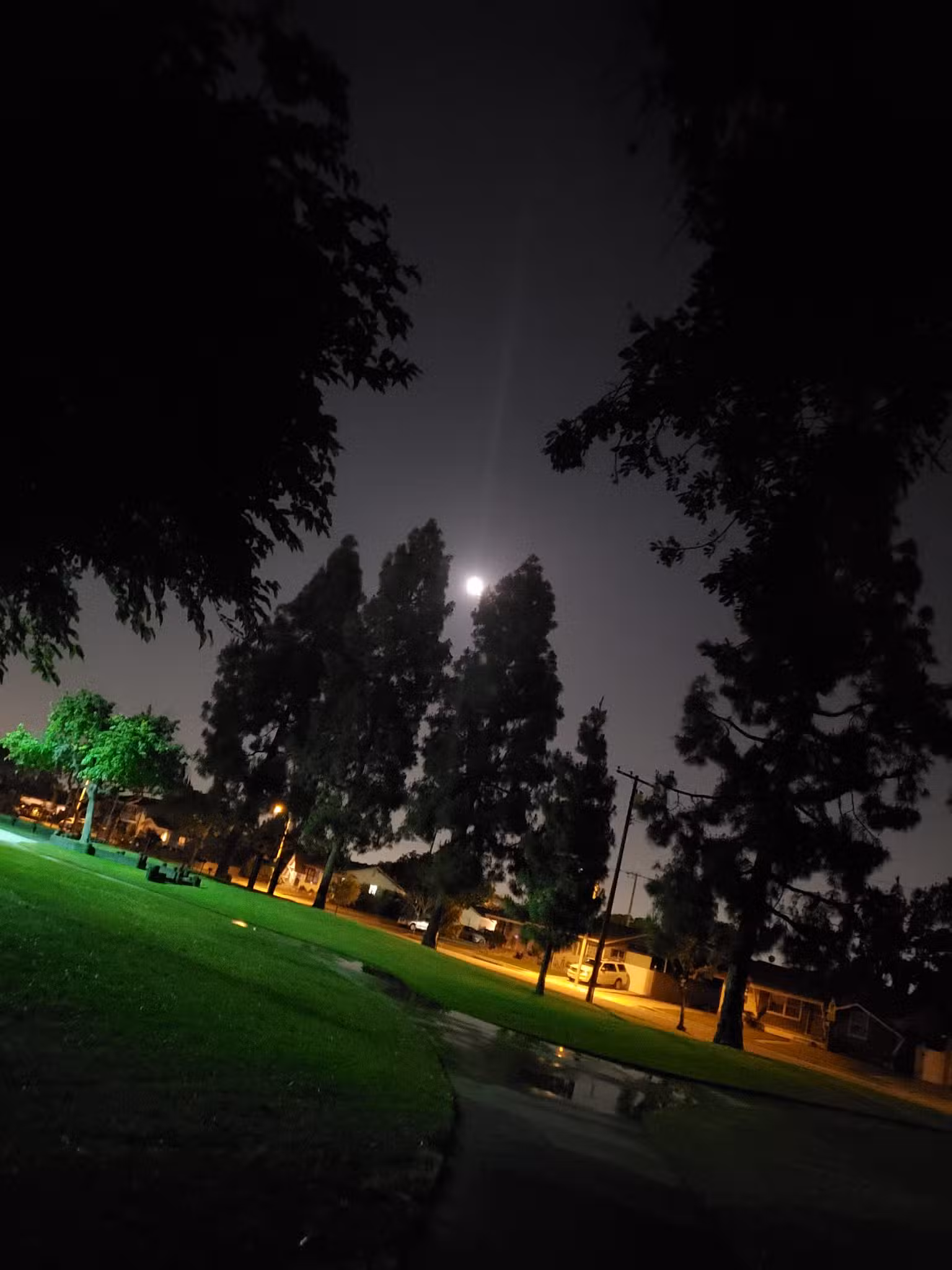 Rosen Acacia Park - Cypress, CA