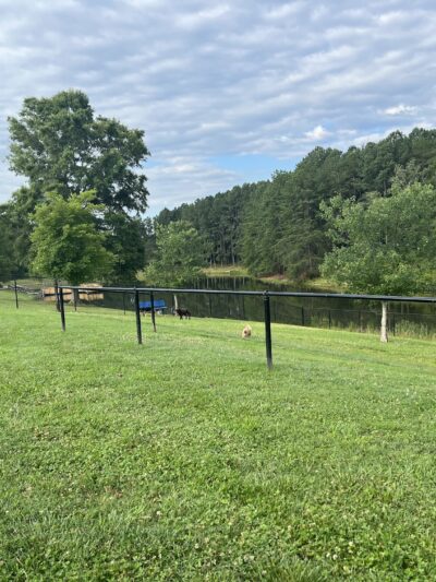 Dallas Park - Dallas, NC