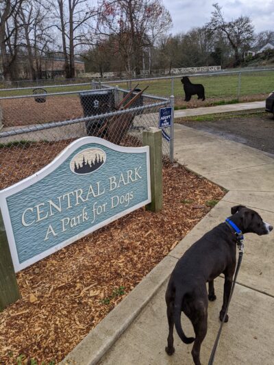 Central Bark Park - Dallas, OR