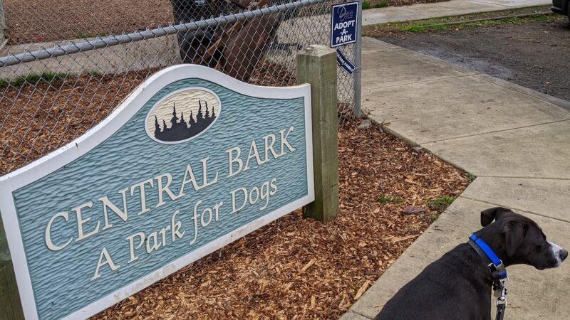 Central Bark Park - Dallas, OR