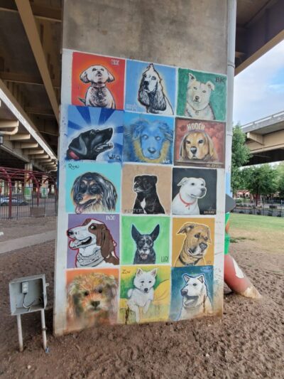 Bark Park Central - Dallas, TX