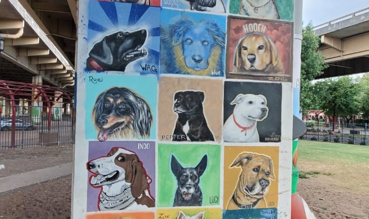 Bark Park Central - Dallas, TX