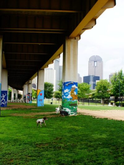 Bark Park Central - Dallas, TX