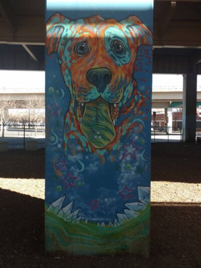 Bark Park Central - Dallas, TX