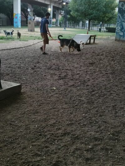 Bark Park Central - Dallas, TX