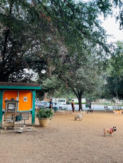 Central Commons Community Dog Park - Dallas, TX