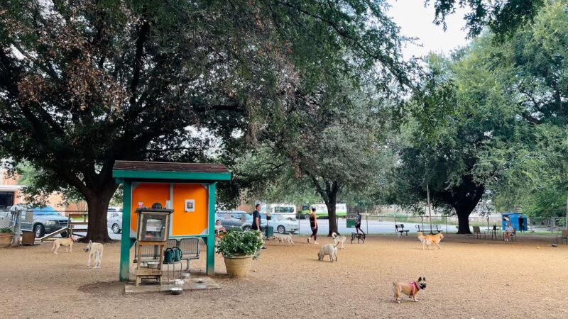 Central Commons Community Dog Park - Dallas, TX