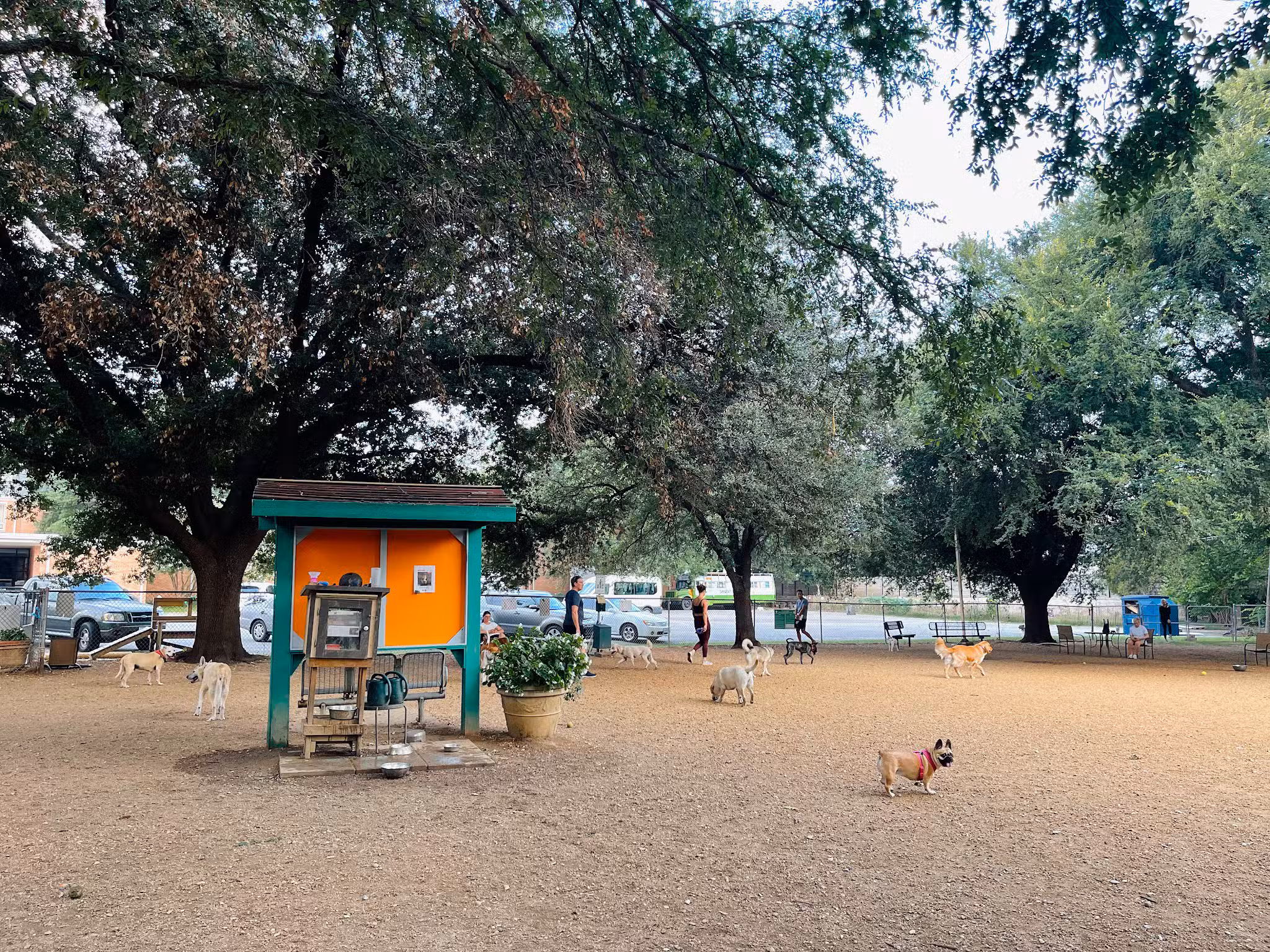 Central Commons Community Dog Park - Dallas, TX