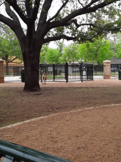 Crockett Dog Park - Dallas, TX