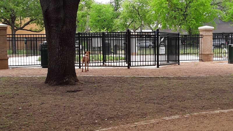 Crockett Dog Park - Dallas, TX