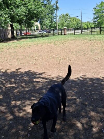 Crockett Dog Park - Dallas, TX