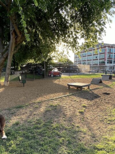 Deep Ellum Lofts Dog Park - Dallas, TX