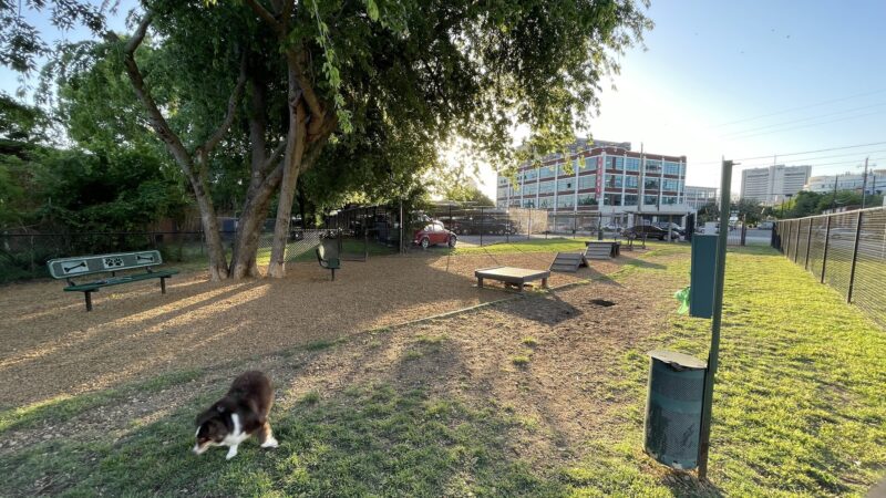 Deep Ellum Lofts Dog Park - Dallas, TX