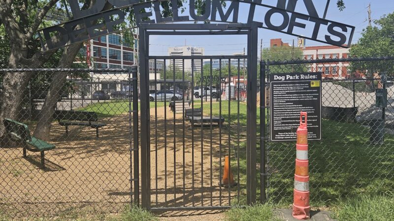 Deep Ellum Lofts Dog Park - Dallas, TX