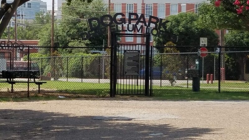 Deep Ellum Lofts Dog Park - Dallas, TX