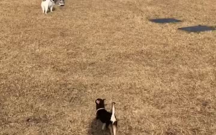 Griggs Park - Dallas, TX