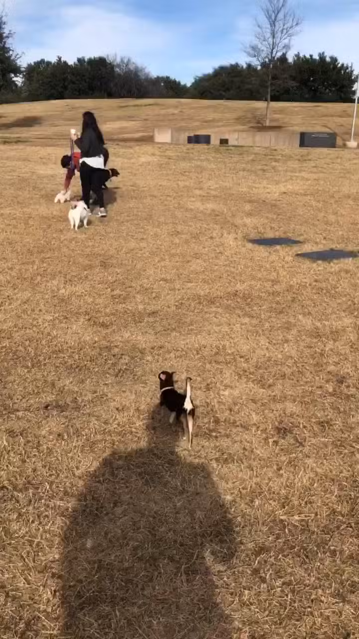 Griggs Park - Dallas, TX