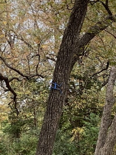 Kessler Parkway Park - Dallas, TX