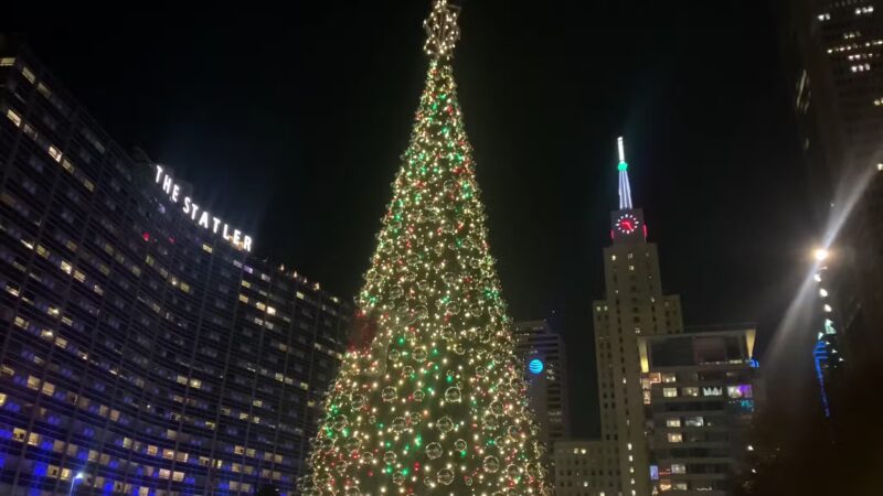 Main Street Garden Park - Dallas, TX