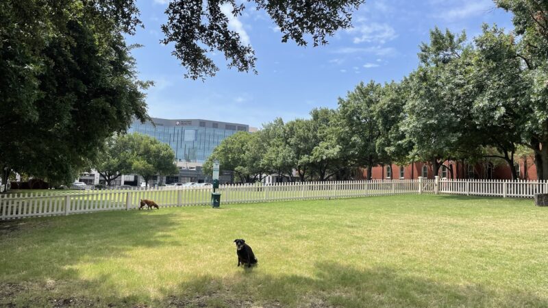 Meadows Dog Park - Dallas, TX
