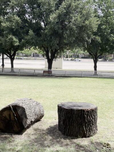 Meadows Dog Park - Dallas, TX