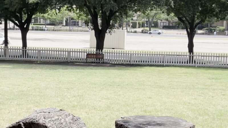 Meadows Dog Park - Dallas, TX