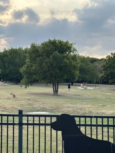 NorthBark Dog Park - Dallas, TX