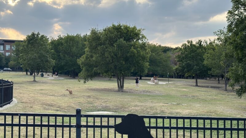 NorthBark Dog Park - Dallas, TX