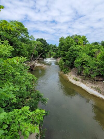 Wagging Tail Dog Park - Dallas, TX