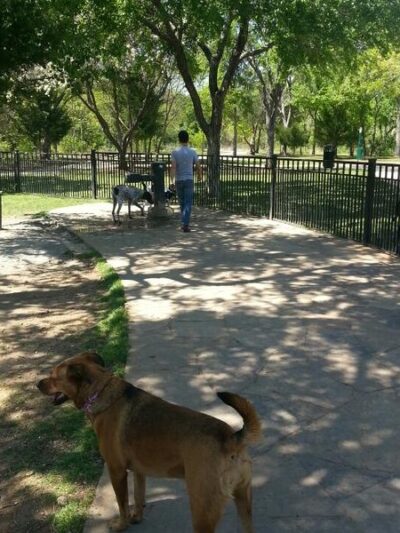 Wagging Tail Dog Park - Dallas, TX