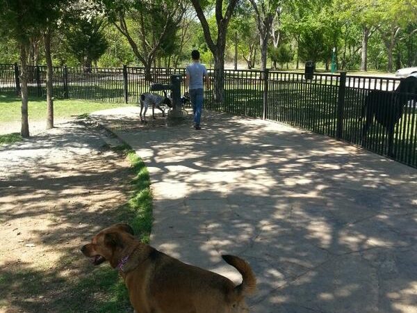 Wagging Tail Dog Park - Dallas, TX