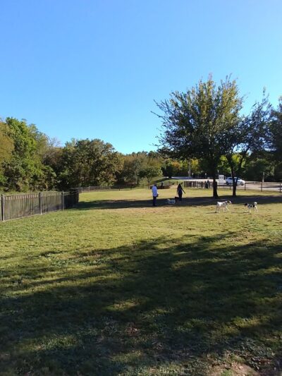 Wagging Tail Dog Park - Dallas, TX