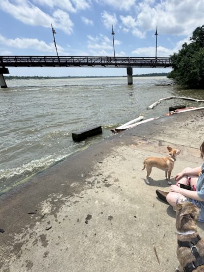 White Rock Lake Dog Park - Dallas, TX