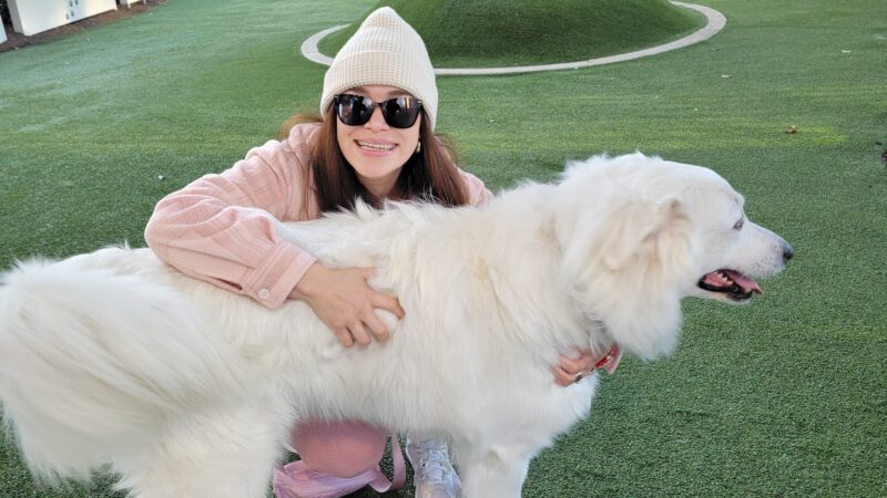 My Best Friend's Park - Dallas, TX