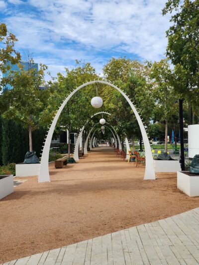 My Best Friend's Park - Dallas, TX