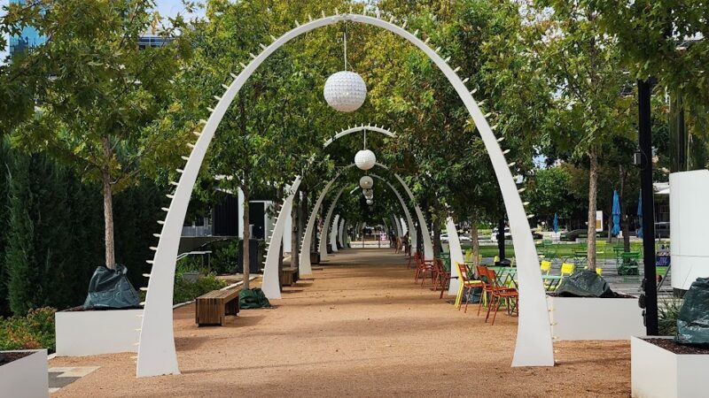 My Best Friend's Park - Dallas, TX