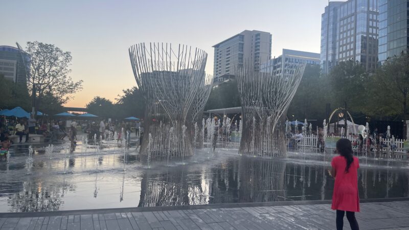 My Best Friend's Park - Dallas, TX